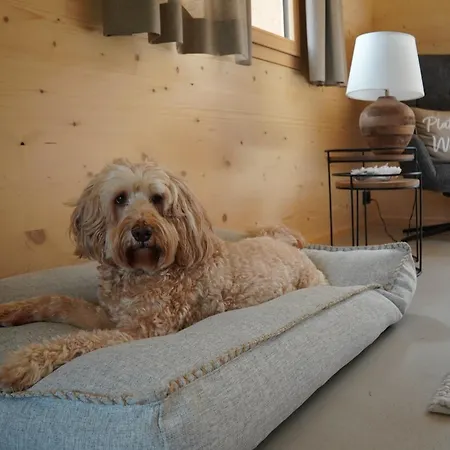 Ruheoase Mit Bergsicht