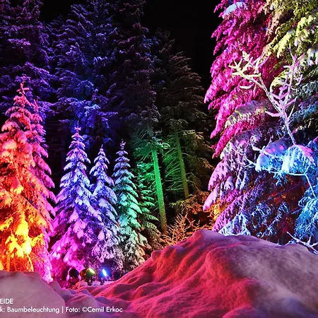 Ruheoase Mit Bergsicht Apartamento *