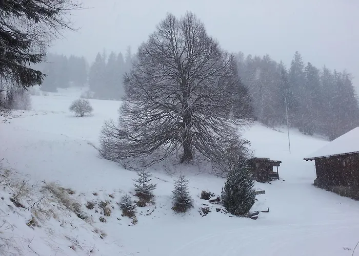 Apartamento Ruheoase Mit Bergsicht *