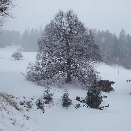 Appartement Ruheoase Mit Bergsicht *