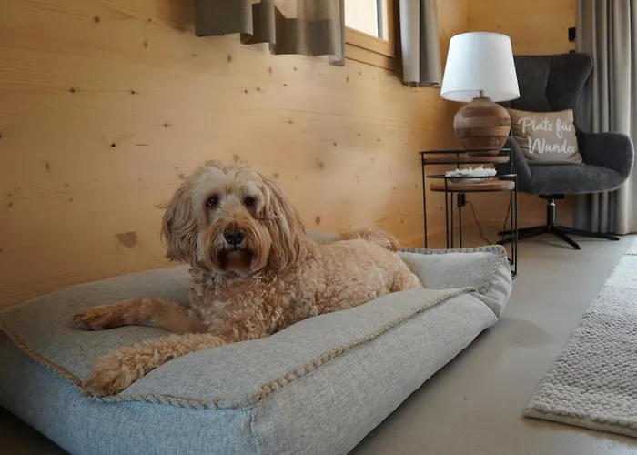 Ruheoase Mit Bergsicht